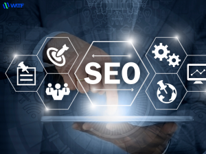 SEO Onpage Và SEO Offpage: Khái niệm và điểm khác biệt