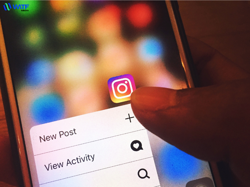 Instagram tập trung vào nội dung hình ảnh và video