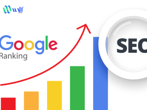 HƯỚNG DẪN TỐI ƯU SEO WEBSITE CHUẨN CÁC KỸ THUẬT