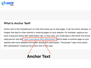 Anchor Text Là Gì? Hướng Dẫn Cách Tạo Anchor Text Chuẩn SEO