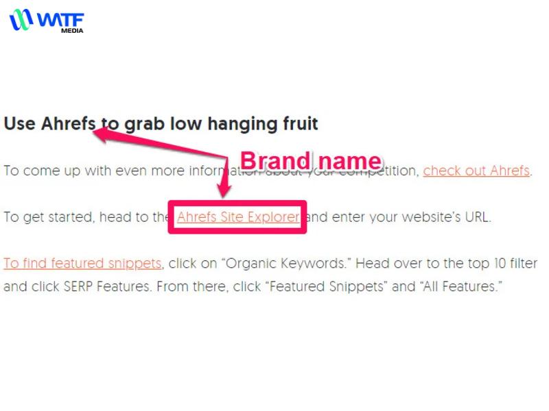 Anchor Text Là Gì? Hướng Dẫn Cách Tạo Anchor Text Chuẩn SEO 3 Anchor text thương hiệu (Branded anchor text)
