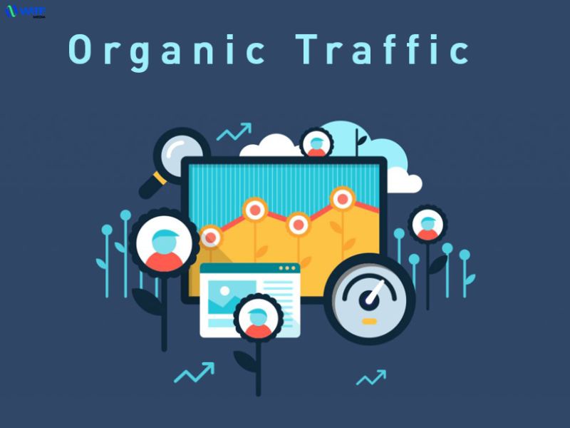 Cách organic search hoạt động Cách organic search hoạt động