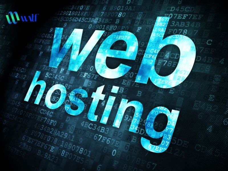 Dung lượng hosting là gì? Dung lượng hosting là gì?