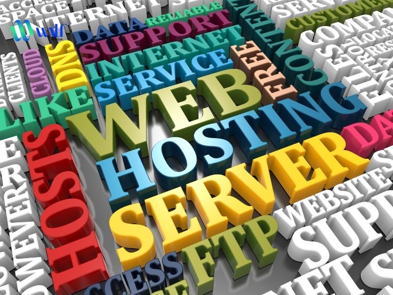 Những yếu tố nào chiếm dụng dung lượng hosting? Những yếu tố nào chiếm dụng dung lượng hosting?