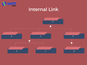 Inbound Link là gì? Cách sử dụng hiệu quả trong SEO