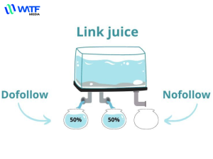 Link Juice là gì? Tìm hiểu chi tiết về Link Juice trong SEO