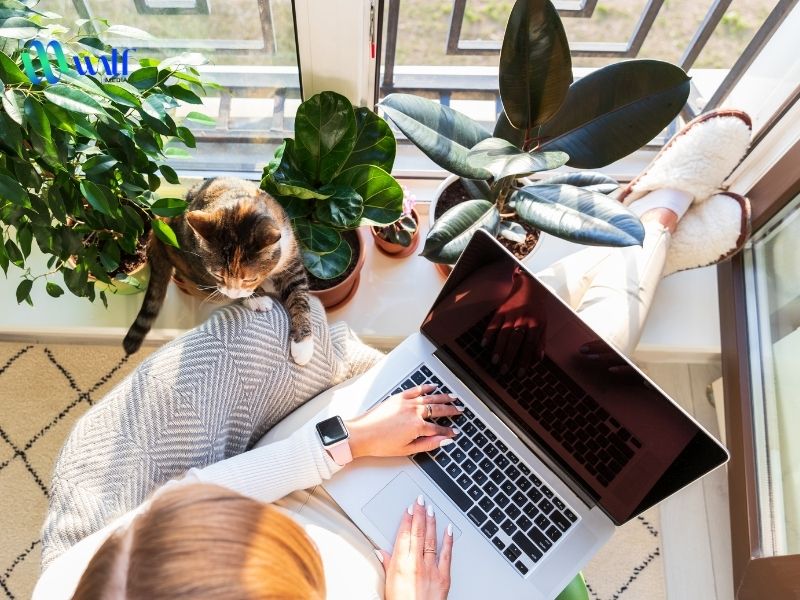 Meta title là gì? 5 tiêu chí đánh giá title SEO 2025 Meta title là gì? 5 tiêu chí đánh giá title SEO 2025