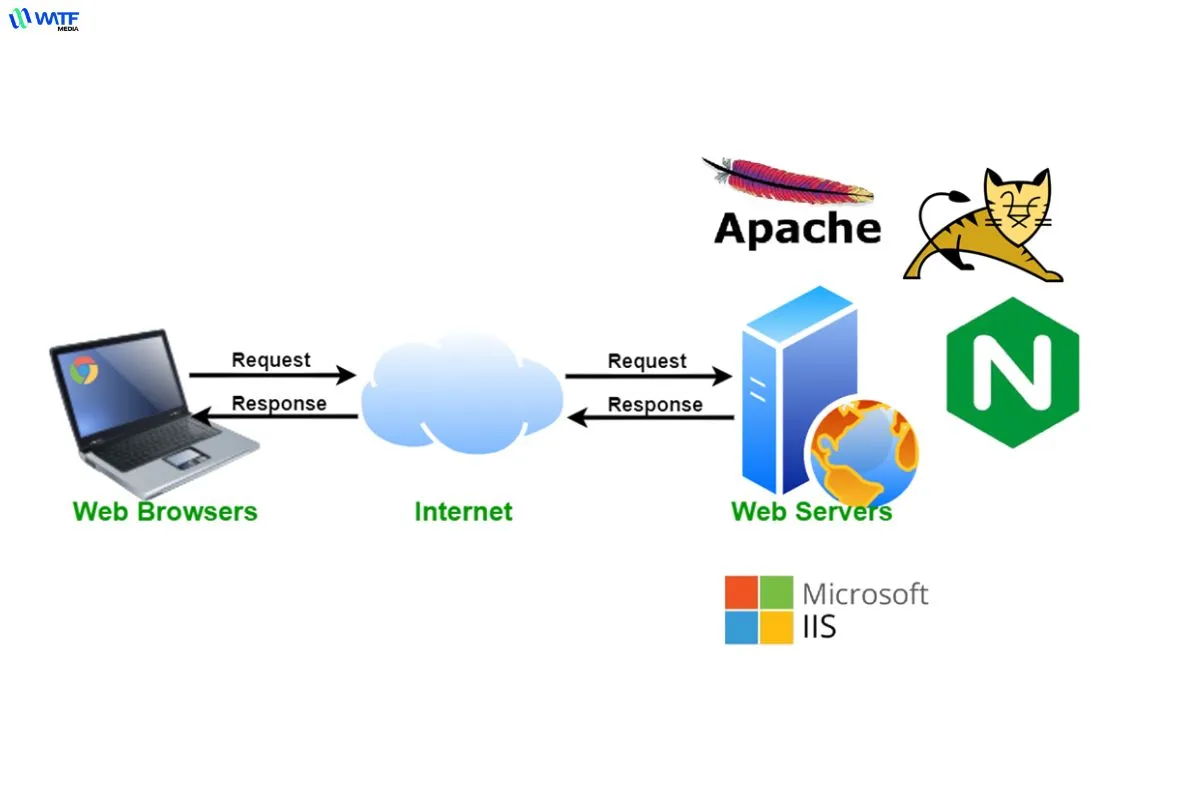 Tối ưu hóa hoạt động website là một trong những vai trò quan trọng của web server